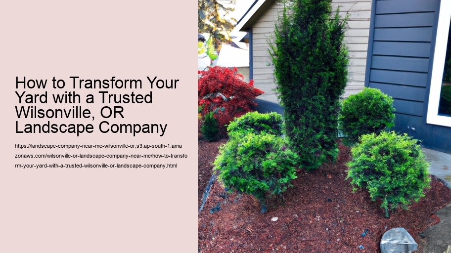 How to Transform Your Yard with a Trusted Wilsonville, OR Landscape Company