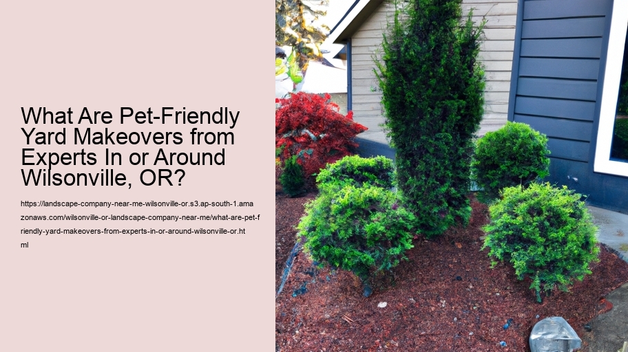 What Are Pet-Friendly Yard Makeovers from Experts In or Around Wilsonville, OR?  